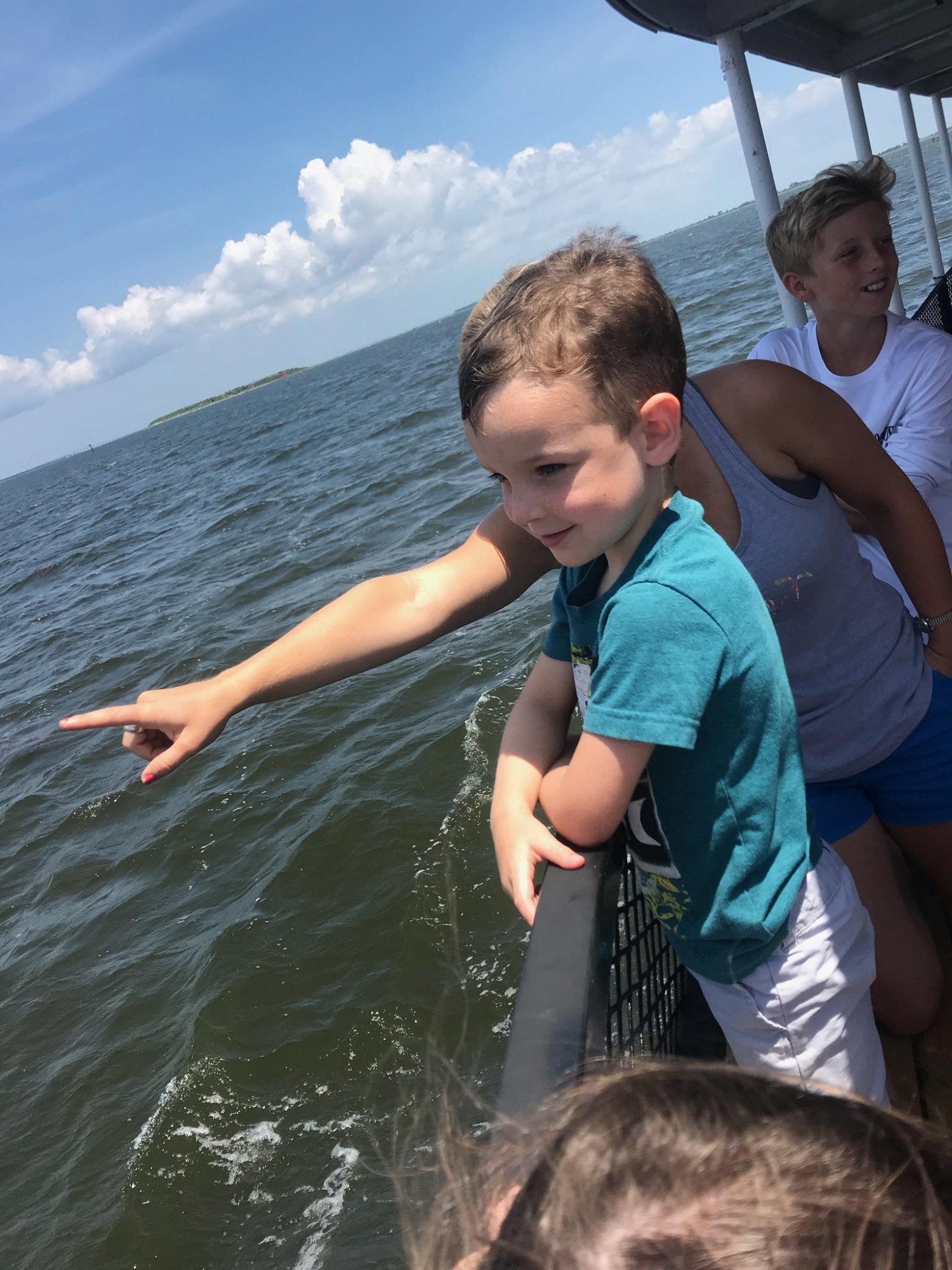 Kids love seeing dolphins on the Harbor Star at Wanchese Marina